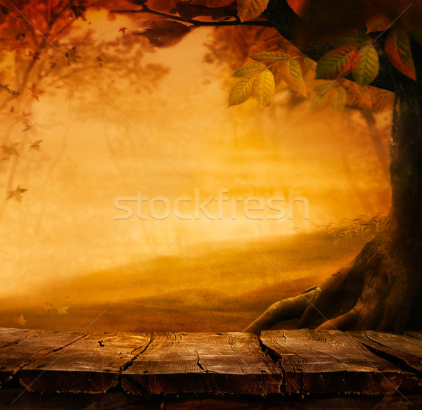 Outono mesa de madeira projeto folhas queda floresta Foto stock © mythja