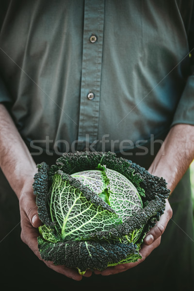 Farmer with kale Stock photo © mythja