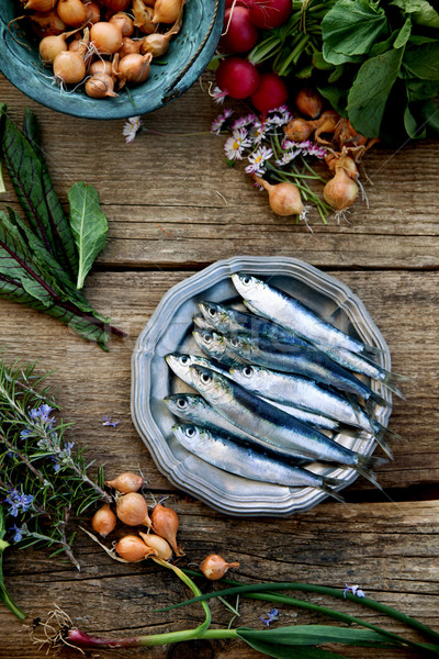 Fresh sardines Stock photo © mythja