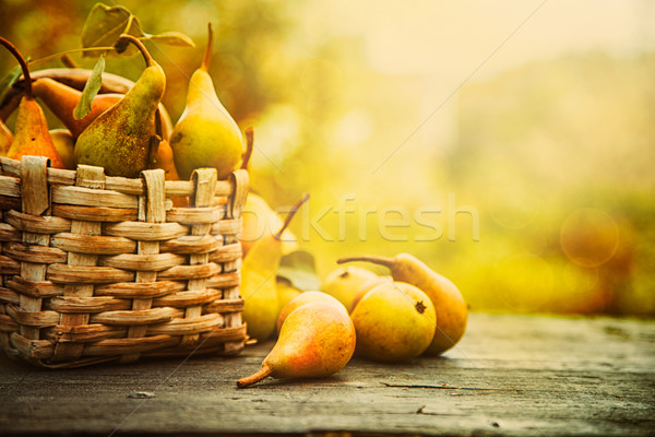 Toamnă pere natură cădea lemn Ziua Recunostintei Imagine de stoc © mythja