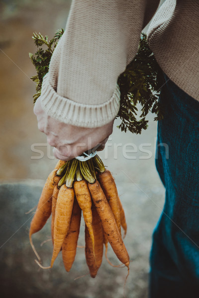 Foto stock: Fresco · cenouras · orgânico · legumes · alimentação · saudável · agricultores