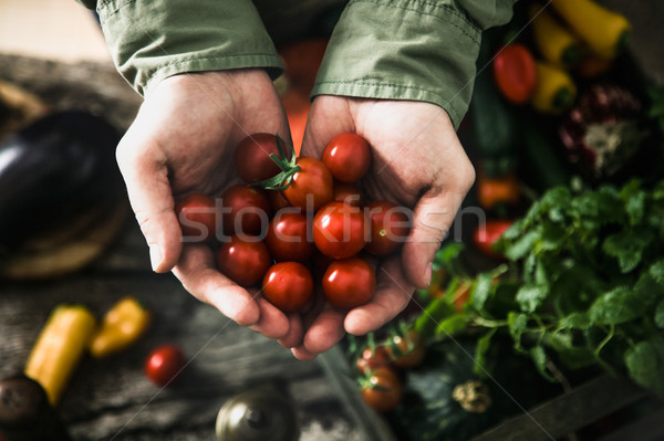 Organic vegetables on wood Stock photo © mythja