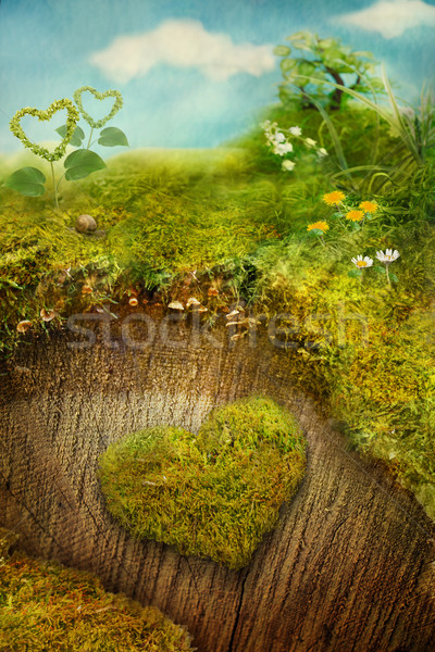 Sevgililer günü kart tatil doğa kalp yosun Stok fotoğraf © mythja