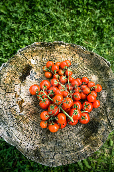 Frischen Tomaten Holz frischem Gemüse Kirschtomaten Gemüse Stock foto © mythja