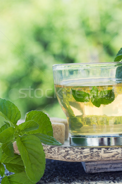 Menta tè fresche foglie zollette di zucchero alimentare Foto d'archivio © mythja