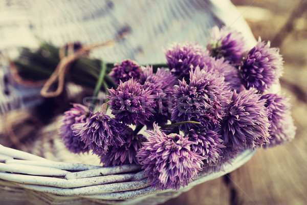 świeże szczypiorek kwiat rustykalny wiosną lata Zdjęcia stock © mythja