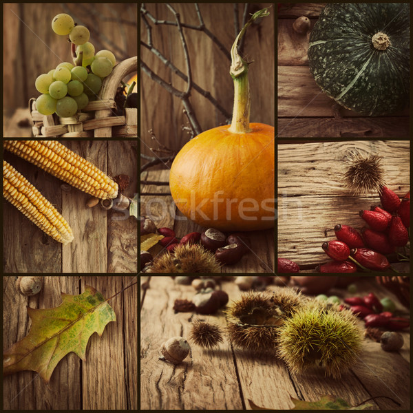 [[stock_photo]]: Automne · collage · saisonnier · fruits · automne · laisse