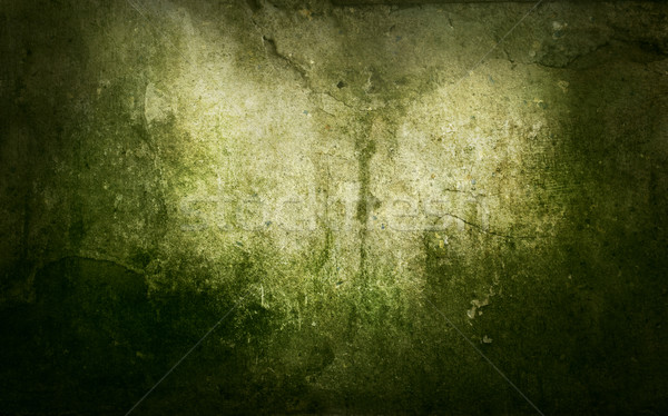Grunge muffa abstract vecchio muro Foto d'archivio © mythja