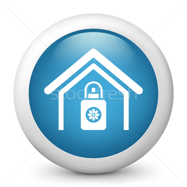 Blue glossy icon Stock photo © Myvector