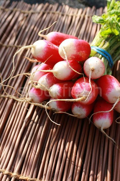 Fresh Radish Stock photo © naffarts