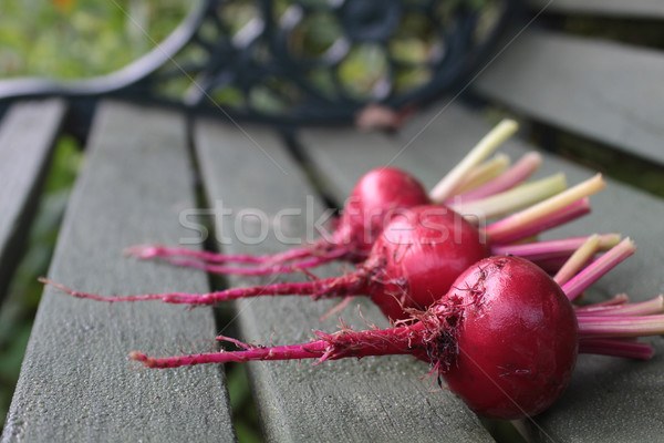 Fresh beetroot Stock photo © naffarts