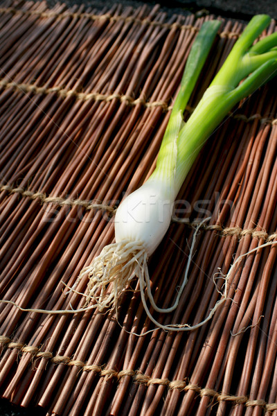 Single Spring Onion Stock photo © naffarts