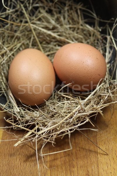 ストックフォト: 新鮮な · 卵 · 2 · ブラウン · 巣 · わら