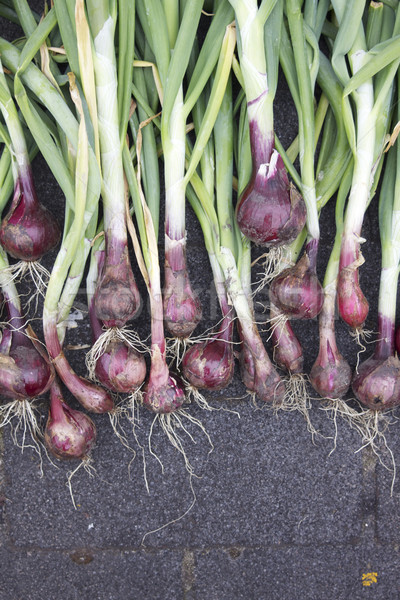 Red Onions Stock photo © naffarts