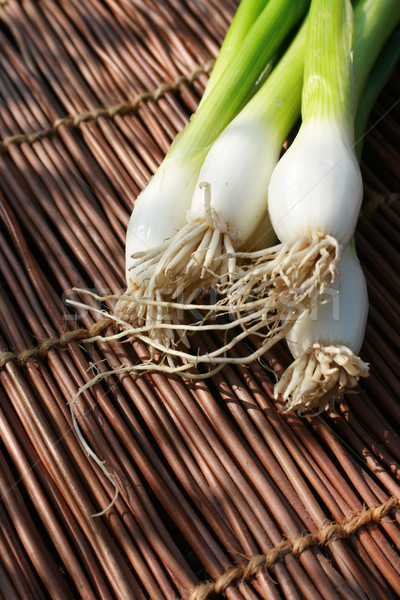 Still life spring onions Stock photo © naffarts