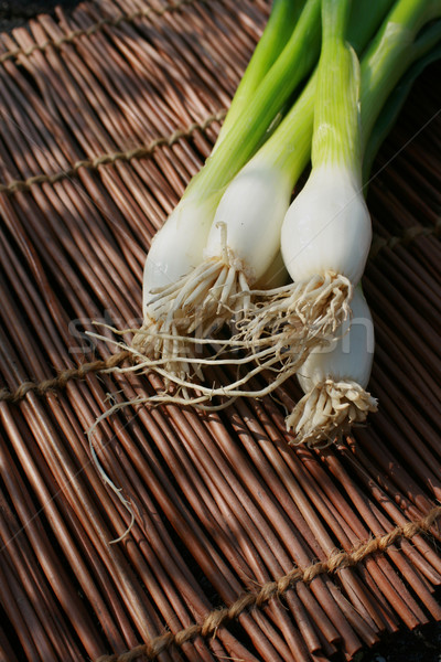 Still life spring onions Stock photo © naffarts