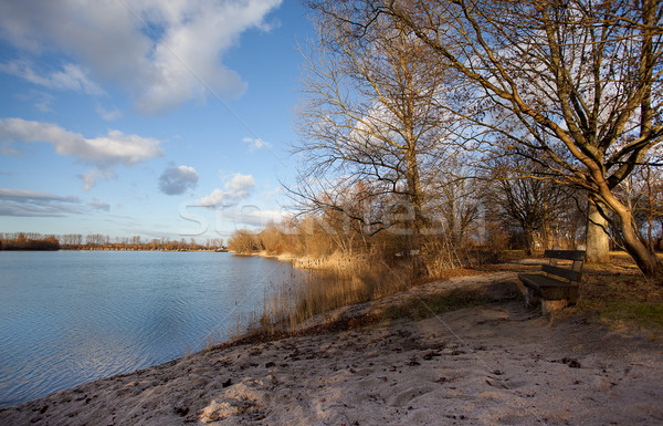 Lake shore in glowing evening light Stock photo © nailiaschwarz