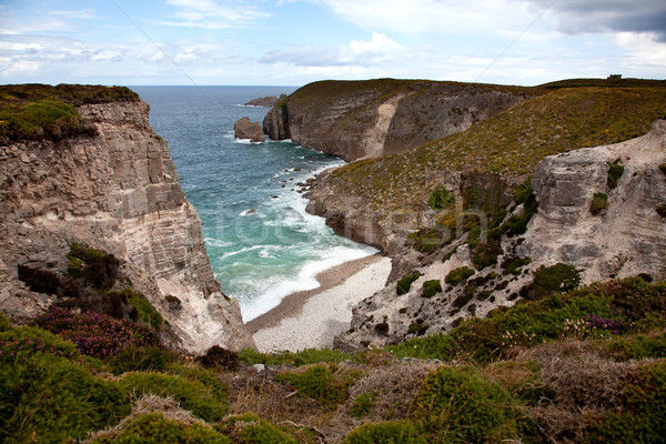 Cliffs and Coast at Cap Frehel Stock photo © nailiaschwarz