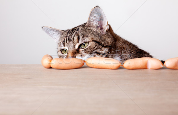Kedi sosis meraklı tablo gıda mutfak Stok fotoğraf © nailiaschwarz