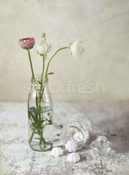 Persian Buttercup Flowers Stock photo © nailiaschwarz
