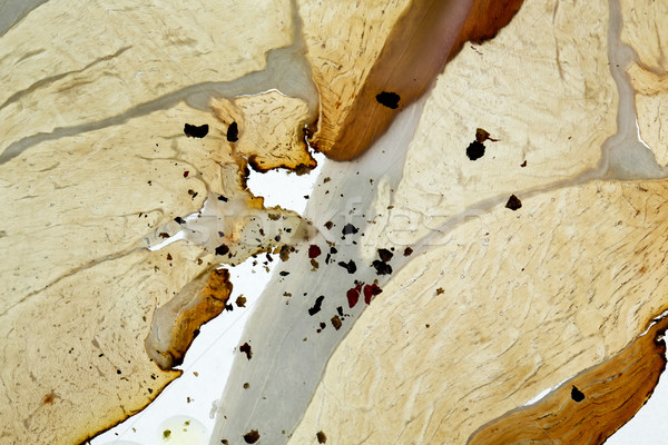 Prosciutto fette retroilluminazione carne indietro bianco Foto d'archivio © nailiaschwarz