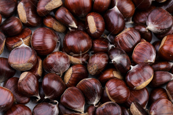 Chestnuts Stock photo © nailiaschwarz