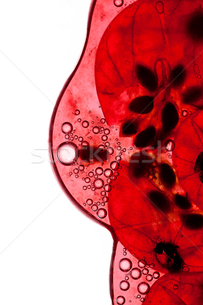 Rood bes sap bessen lucht bubbels Stockfoto © nailiaschwarz