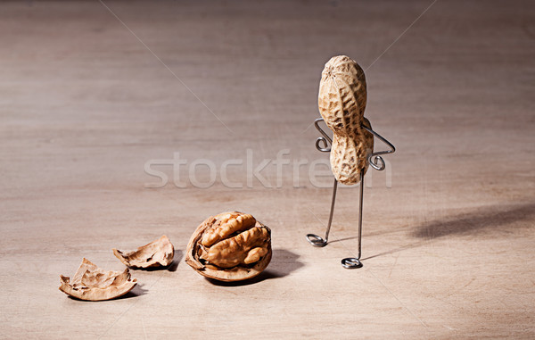 Verloren Miniatur Erdnuss Mann Nussbaum Gehirn Stock foto © nailiaschwarz