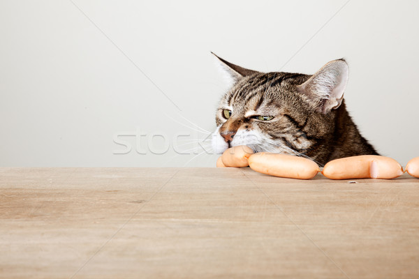 Cat and Sausages Stock photo © nailiaschwarz