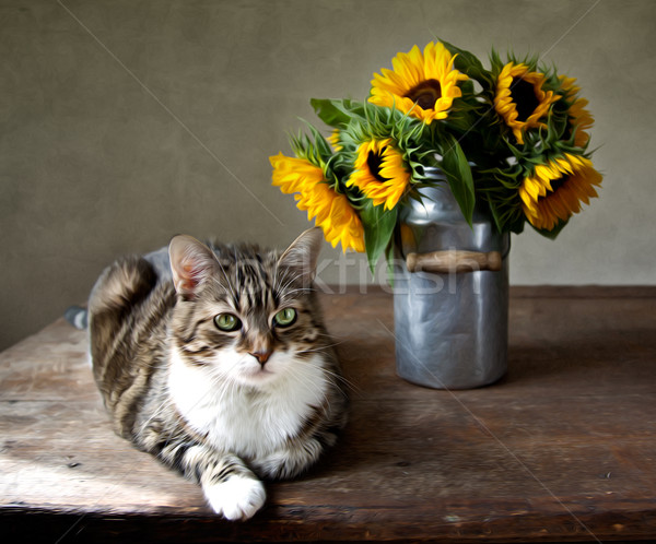 Cat and Sunflowers Stock photo © nailiaschwarz