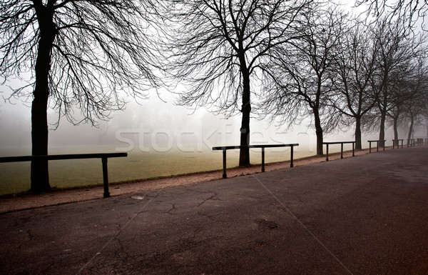 Fog over the Rhine Stock photo © nailiaschwarz