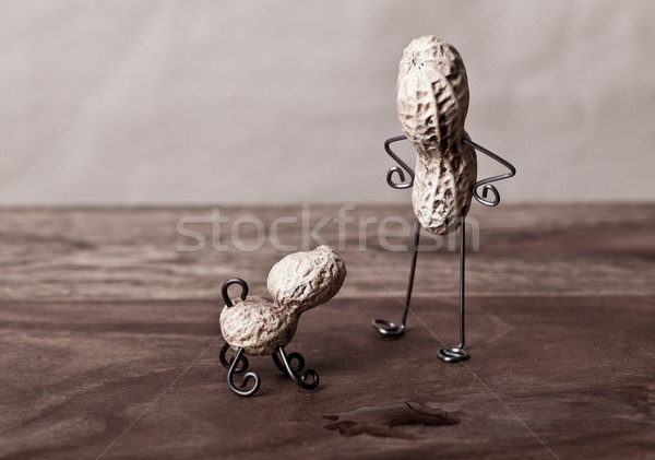 Peanut Man and Dog Stock photo © nailiaschwarz