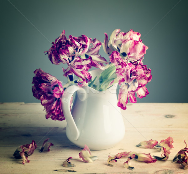 Still Life with Tulips Stock photo © nailiaschwarz