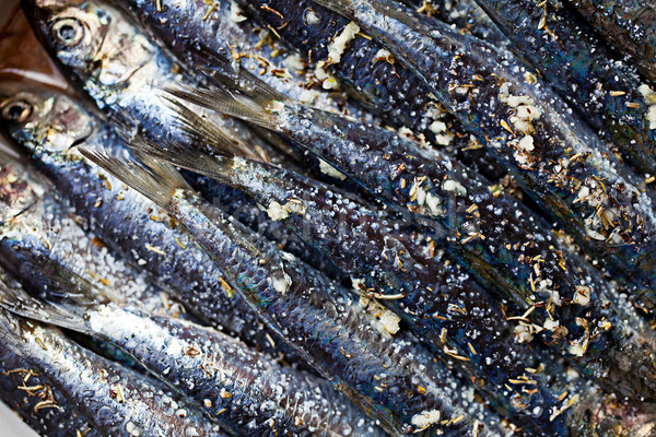Fresh Sardines Stock photo © nailiaschwarz