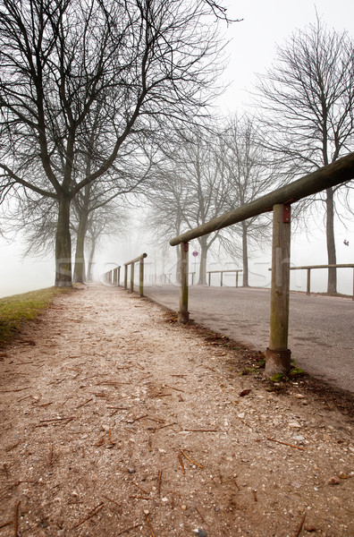 Fog over the Rhine Stock photo © nailiaschwarz