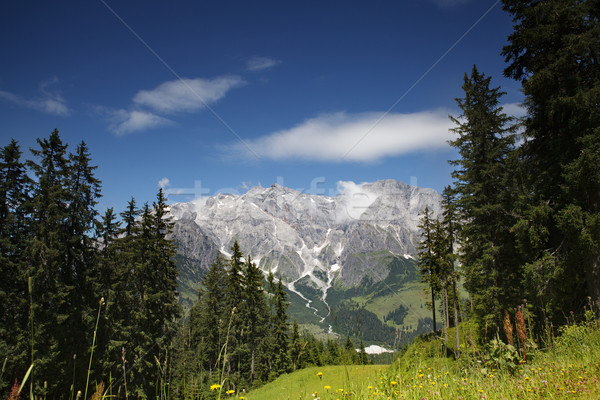 Hochkoenig Mountain Range Stock photo © nailiaschwarz