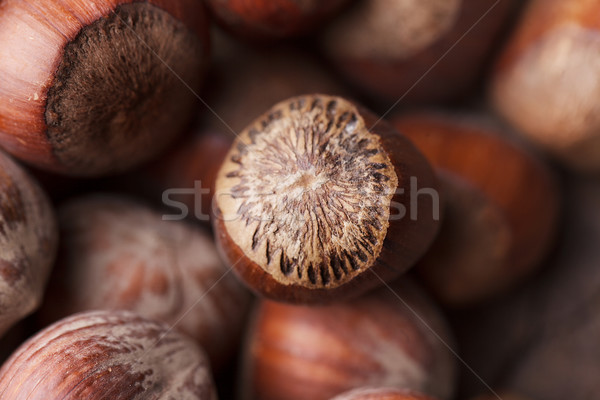 Hazelnuts Stock photo © nailiaschwarz