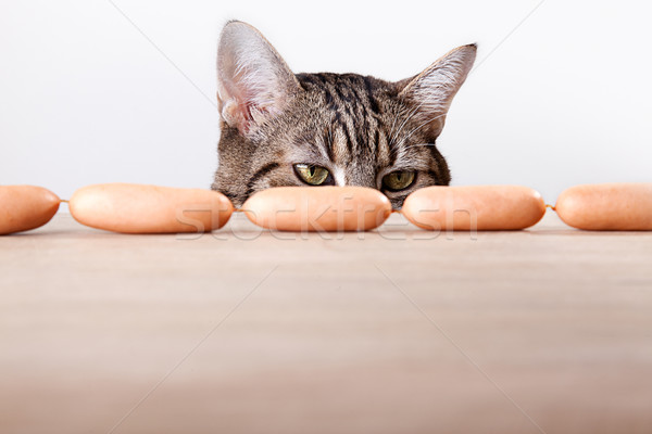 Gato salsichas curioso tabela comida cozinha Foto stock © nailiaschwarz