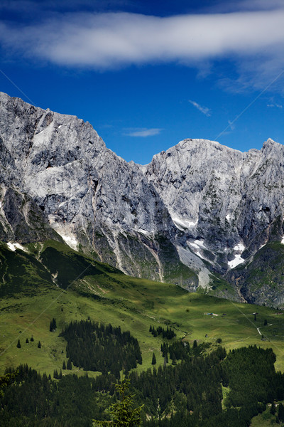 Hochkoenig Mountain Range Stock photo © nailiaschwarz