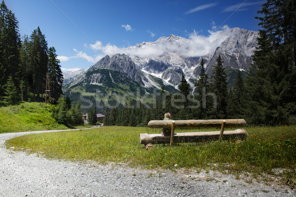 Hegy terjedelem kilátás hegyek Alpok égbolt Stock fotó © nailiaschwarz