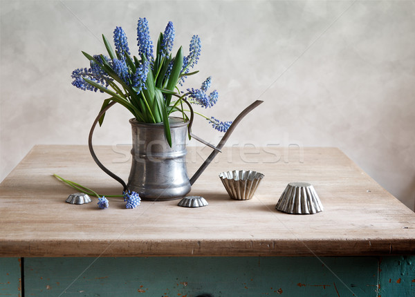 Still life with grape hyacinths Stock photo © nailiaschwarz