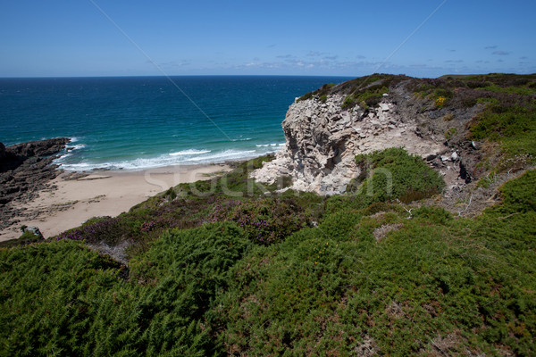 Cliffs and Coast at Cap Frehel Stock photo © nailiaschwarz