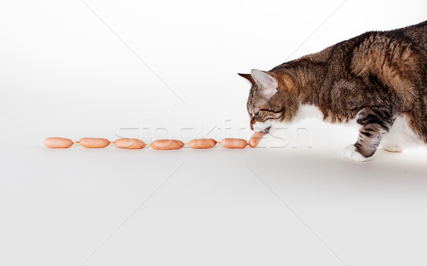 Cat and Sausages Stock photo © nailiaschwarz