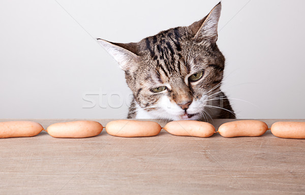 Kot kiełbasy ciekawy tabeli żywności kuchnia Zdjęcia stock © nailiaschwarz