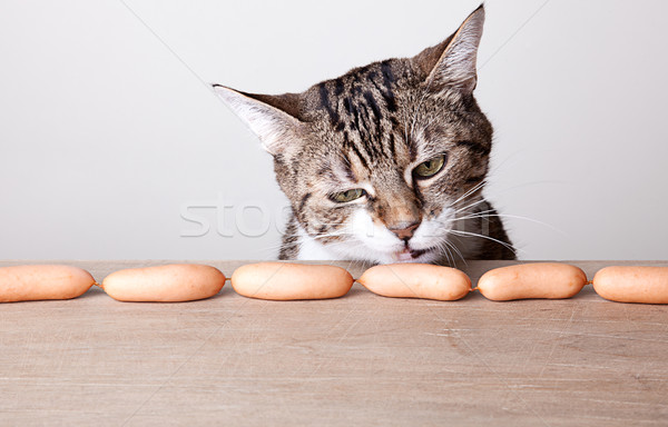 Katze Würstchen neugierig Tabelle Essen Küche Stock foto © nailiaschwarz