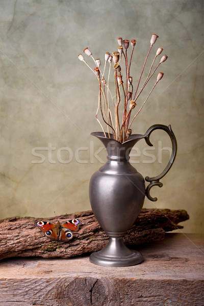 Stockfoto: Stilleven · vlinder · europese · pauw · drogen · poppy