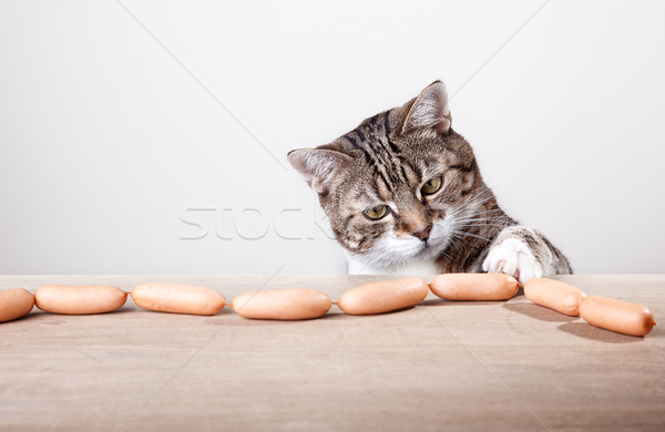 Macska kolbászok kíváncsi asztal étel konyha Stock fotó © nailiaschwarz