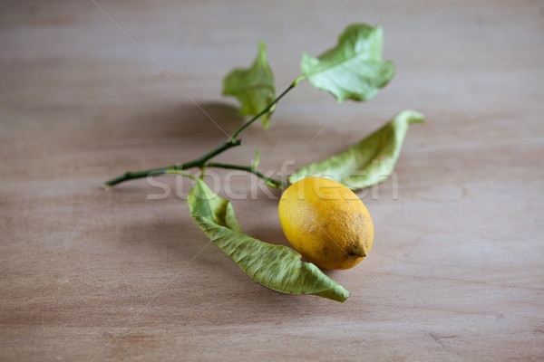 Ripe lemons on a leafy twig
 Stock photo © nailiaschwarz