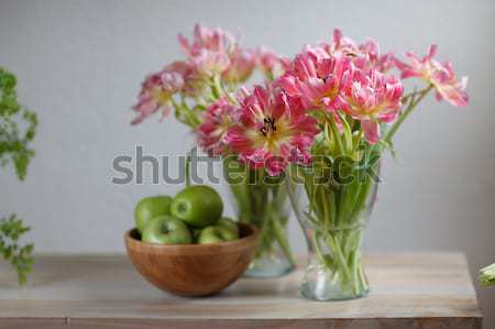 Pink Tulips Stock photo © nailiaschwarz