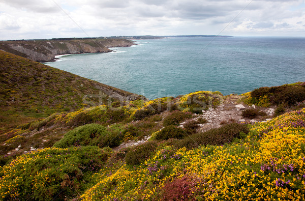 Cliffs and Coast at Cap Frehel Stock photo © nailiaschwarz